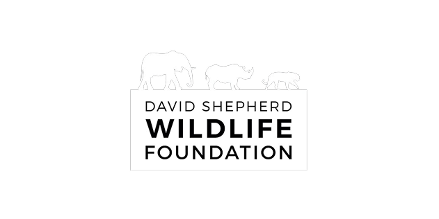 Featured image for David Shepherd Wildlife Foundation